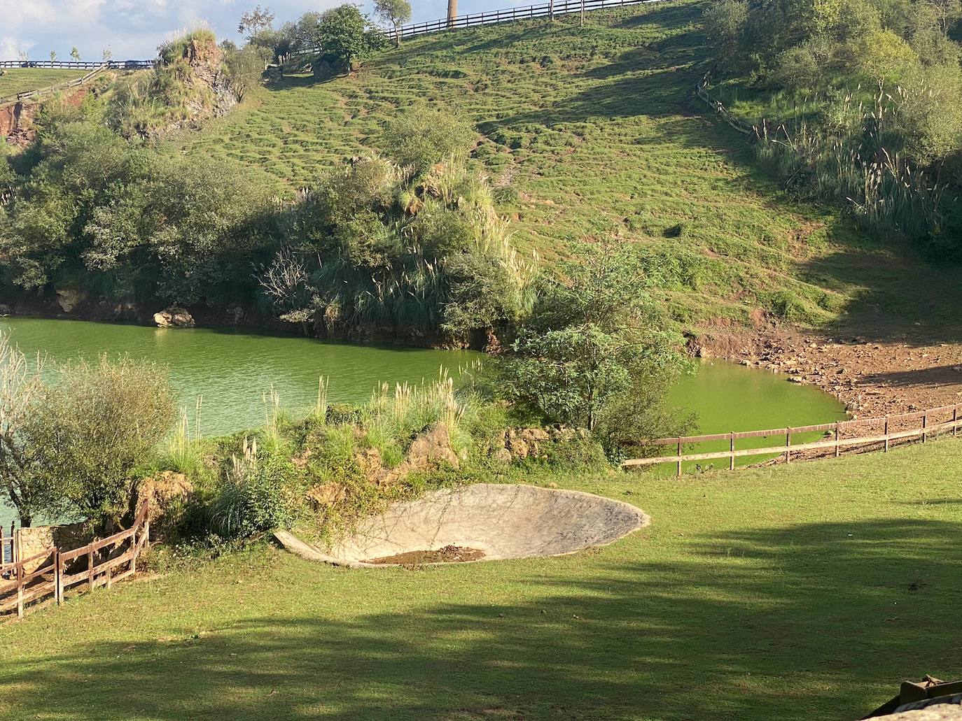 El lago verde aceituna de Cabárceno