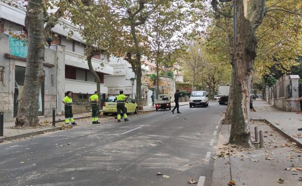 La encina centenaria de Bustablado se desploma sobre la iglesia