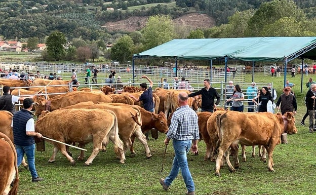 Multitudinaria feria en Cabuérniga