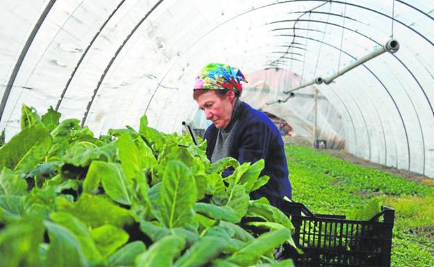 'El lugar de las fresas', película documental de Maite Vitoria, se estrena en la Filmoteca