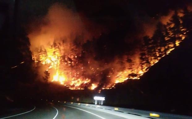 Un incendio forestal impide el paso del primer Alvia a Madrid a la altura de Torrelavega