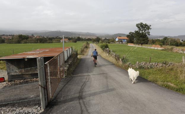 Torrelavega ensanchará caminos rurales para pasear y disfrutar del entorno con seguridad