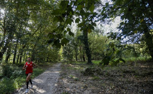 El Supremo rechaza el recurso de Sniace por el Patatal y libra a la ciudad de un pago de 10 millones