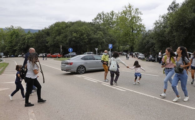 El bosque de las secuoyas contará con un nuevo acceso