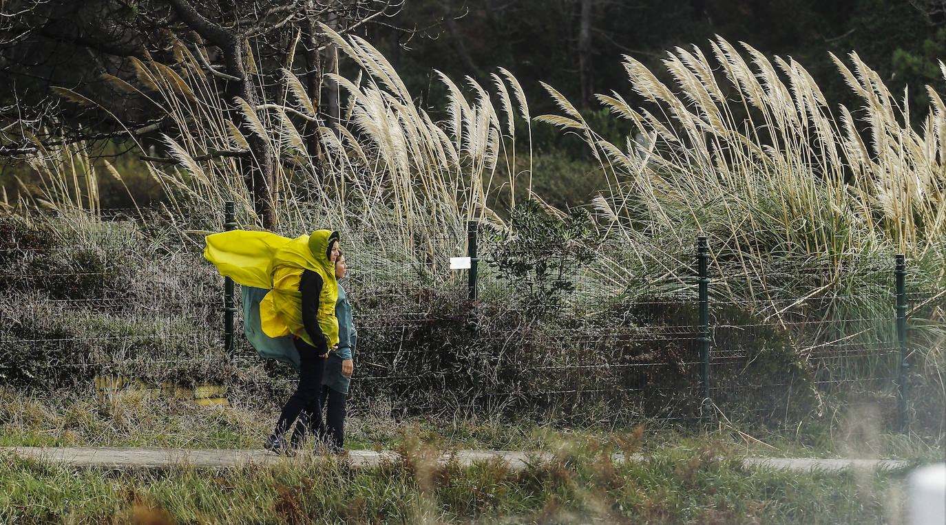 Día de viento, lluvia y olas