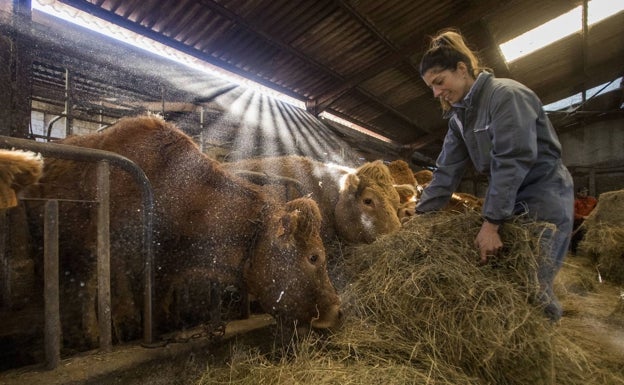 El Gobierno destinará 200.000 euros de ayudas para mujeres rurales desempleada