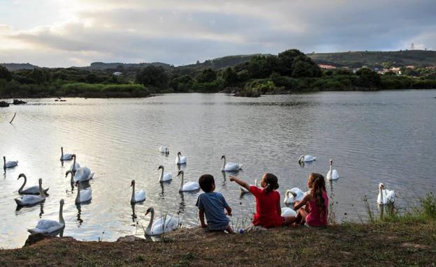 Los hosteleros conceden el Premio Horeca 2022 al Ecoparque de Trasmiera