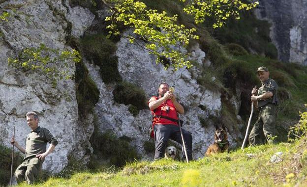 Asturias pide a los agentes de Medio Rural que restrinjan el uso de vehículos para ahorrar combustible