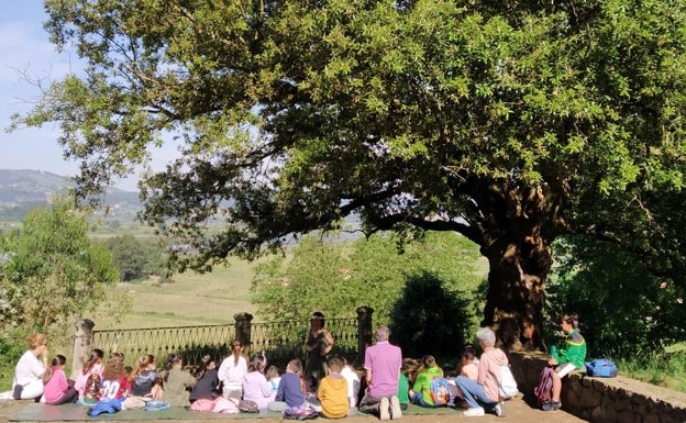 La Encina de San Roque de Colindres, candidata a Árbol del Año de España 2023