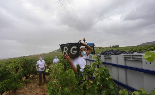 El convenio del sector agropecuario de Cantabria recoge una subida salarial del 7%