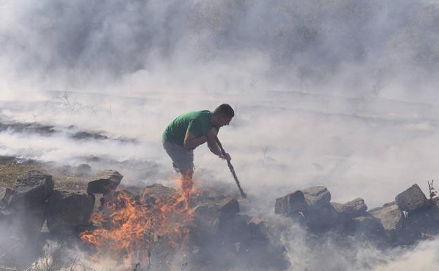 Ganadería creará un nuevo grupo para la investigación de los incendios forestales