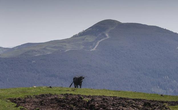 La obra del parque eólico de El Escudo se retrasa porque Montes no envía los permisos