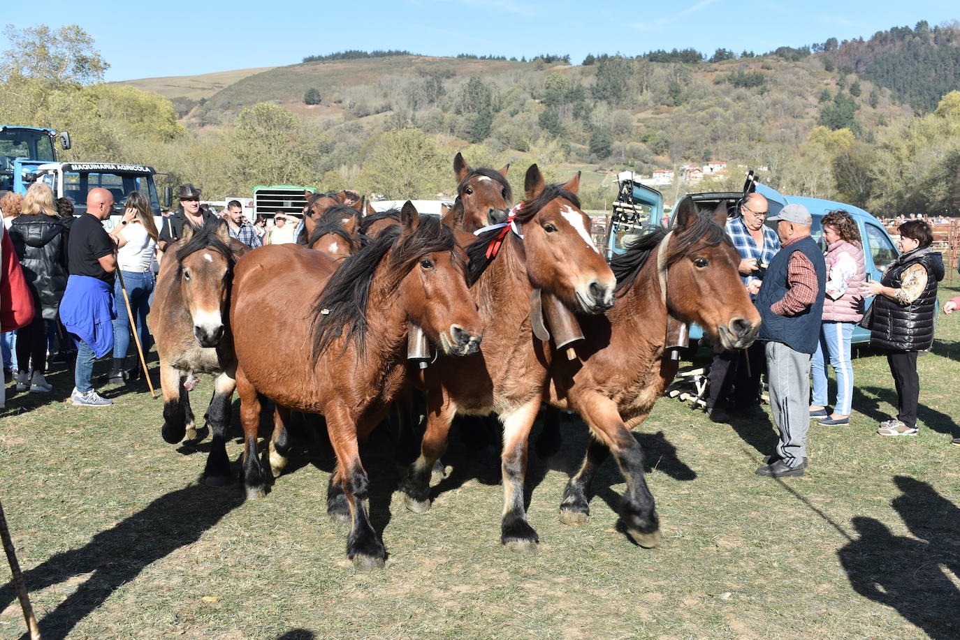 La feria de Arenas de Iguña, en imágenes