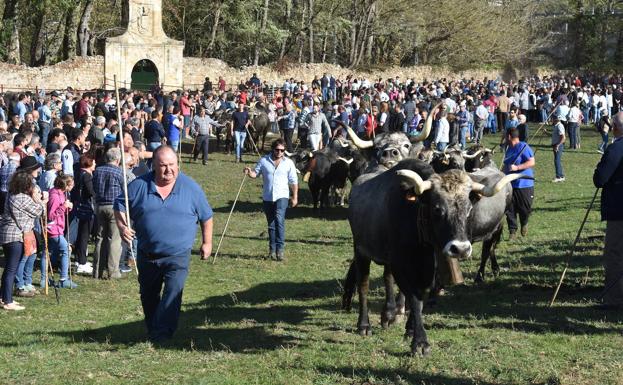 Miles de personas avalan el éxito de la feria de ganado de Arenas de Iguña