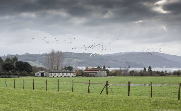 Gochicoa limita a 80 los afectados en Cantabria por la nueva interpretación de la Ley de Costas