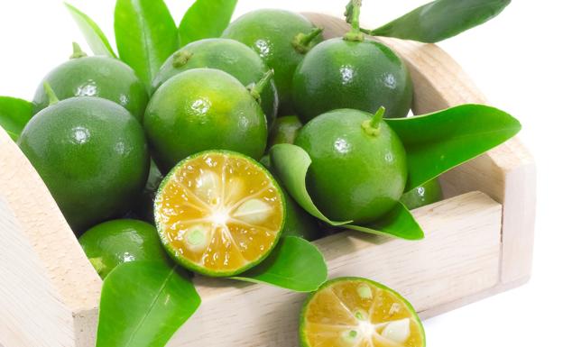 El calamansí, el cítrico que endulza, aromatiza y condimenta