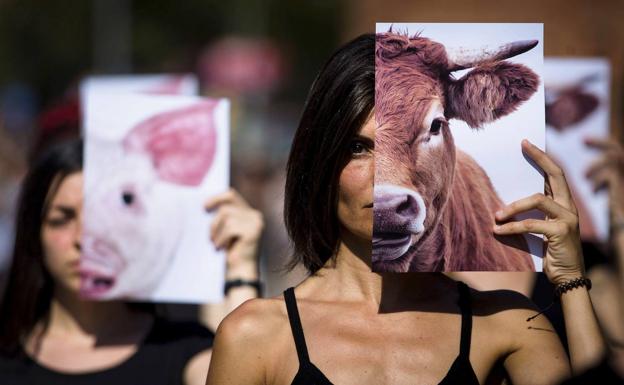 El CGPJ enmienda la ley de bienestar animal, otra norma de Podemos