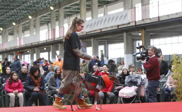 El Mercado de Ganados acoge el sábado la Feria de Adopción Responsable