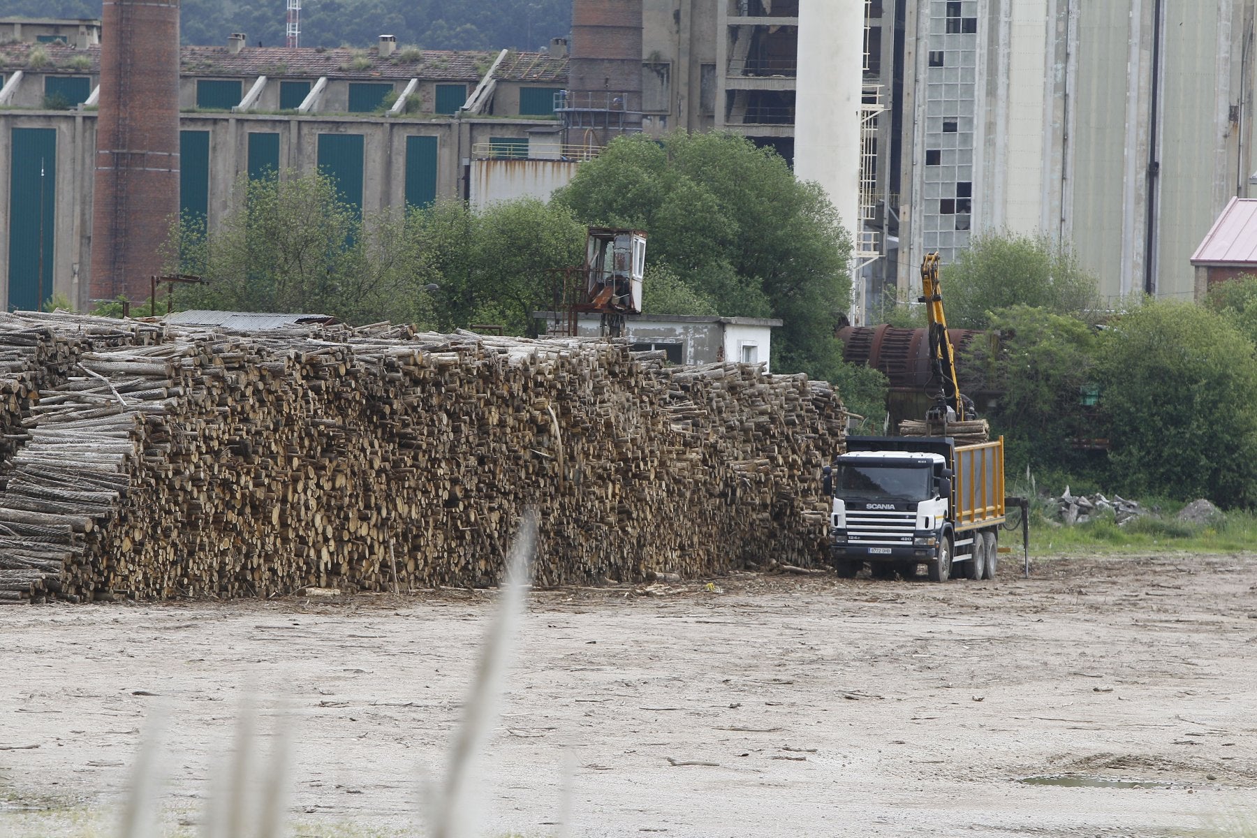 IBS Capital cifra en 40 millones el perjuicio si no se le adjudican los activos forestales de Sniace