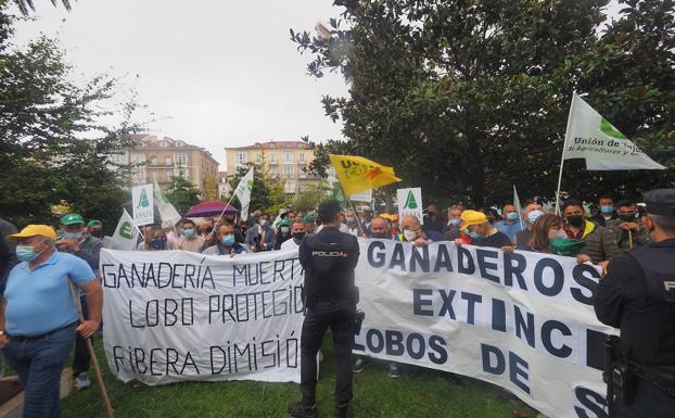 La Eurocámara pide cambiar el estatus de protección de lobos y osos para proteger al ganadero