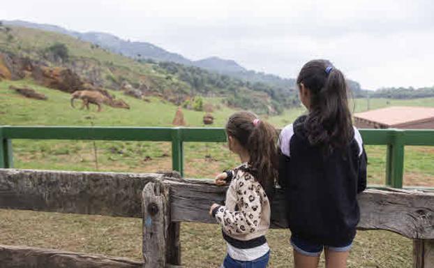 Un noviembre histórico en el Parque de Cabárceno con 22.122 visitantes