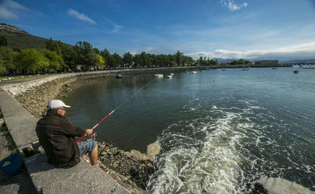 Vox lleva a Bruselas la parálisis del saneamiento de las marismas de Santoña