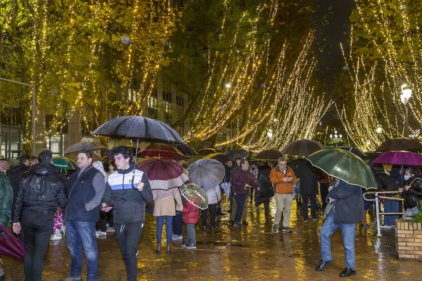 Las luces de la Alameda de Oviedo, en imágenes