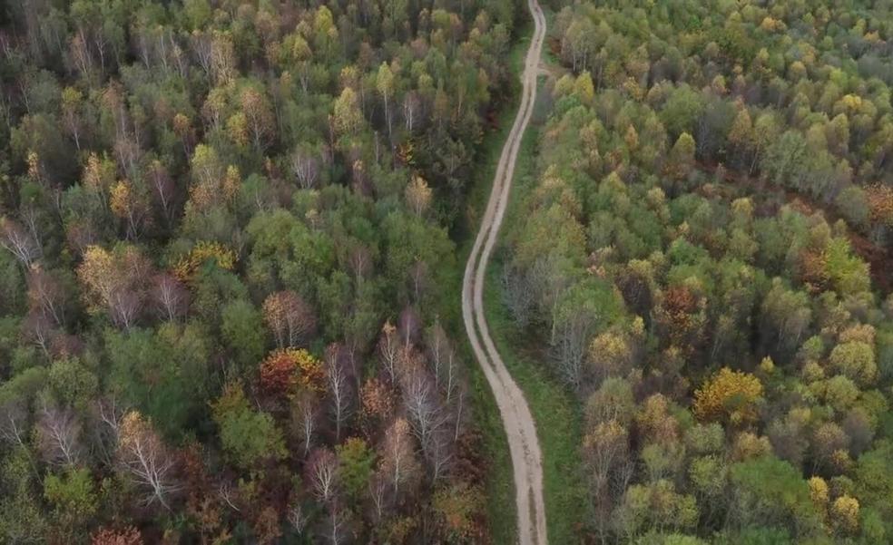 La belleza de los colores del otoño del Monte Corona desde el aire