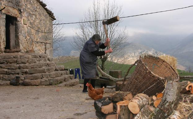 El programa de atención y apoyo a la mujer rural de Cantabria contará con 84 desempleadas en 2023