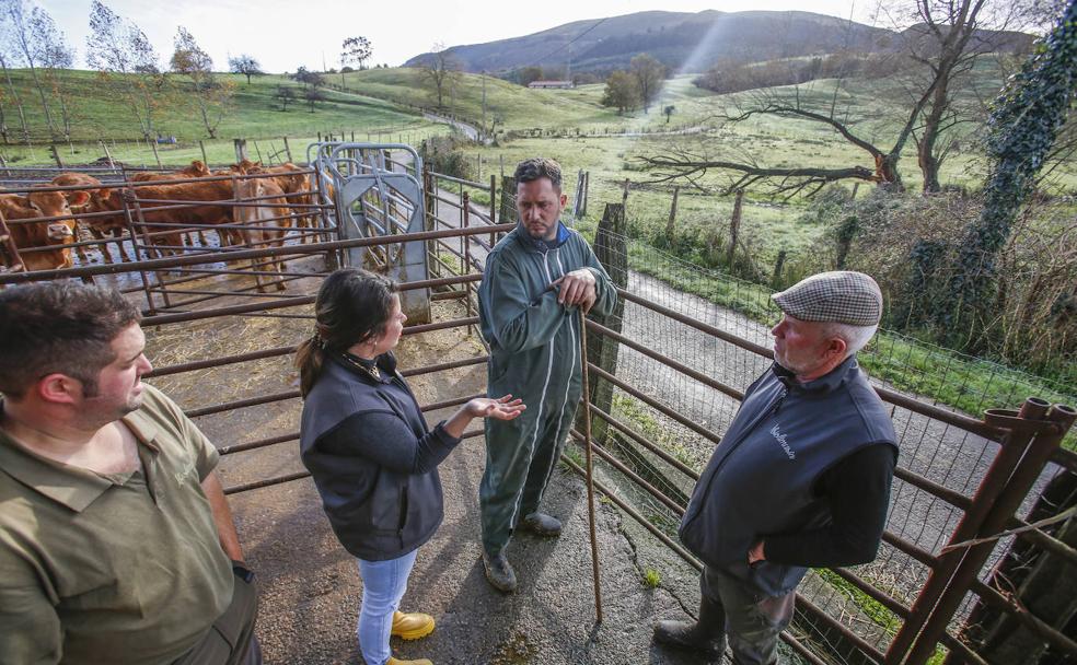 De 'Erasmus' con las vacas de Ibio