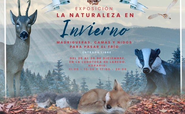 La exposición 'La Naturaleza en Invierno' convertirá la ludoteca de Laredo en punto de visita obligada en Navidad