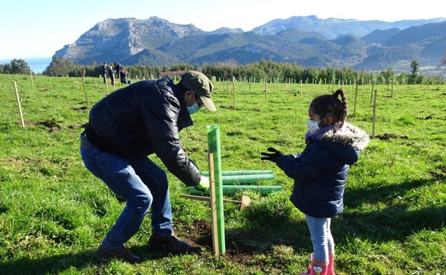 La Sierra de la Vida acoge una actividad de reforestación de Bosques de Cantabria