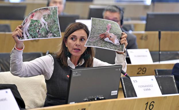 Las propuestas de Cantabria para la presidencia española de la UE en 2023