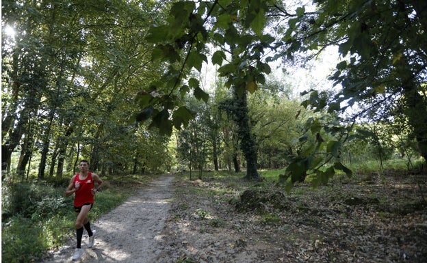 Torrelavega vuelve a pedir fondos europeos para rehabilitar El Patatal