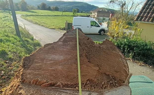 La tala de un viejo roble provoca una polémica en Polanco