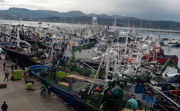 El puerto de Santoña bate su récord con 16 millones de kilos subastados este año