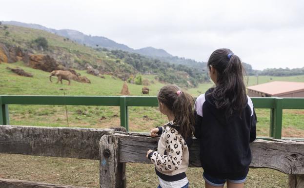 Agotadas las 15.000 invitaciones para visitar Cabárceno esta semana