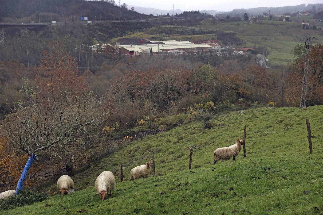 La planta de biogás de Cabezón de la Sal inicia el trámite de la autorización ambiental