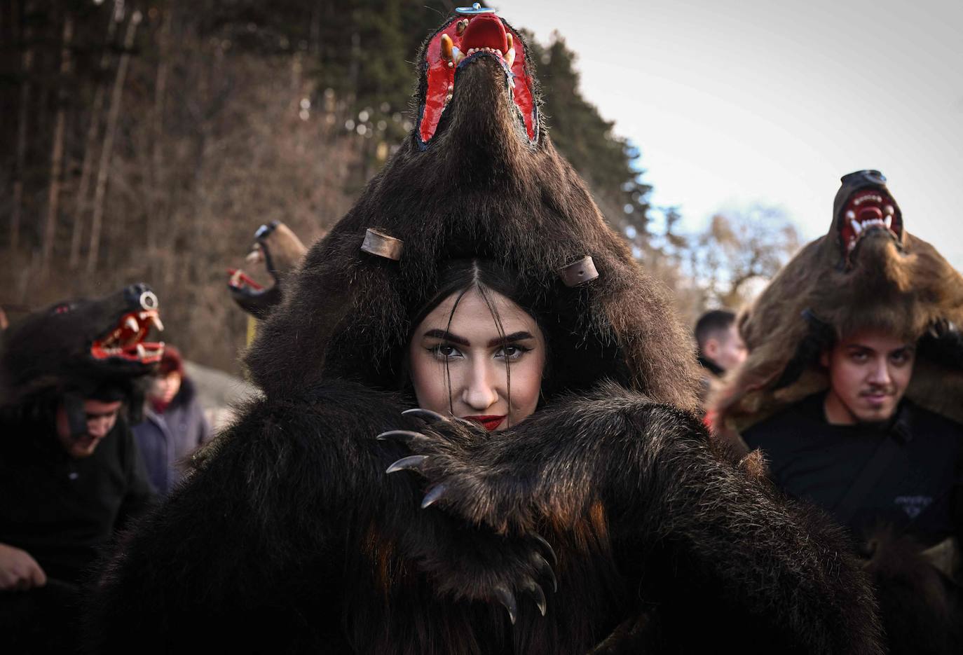 Desfile de osos en Rumanía