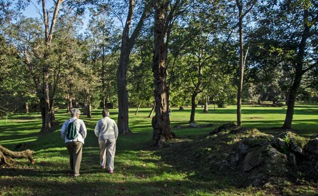 Villaescusa adjudica la obra para iluminar y embellecer Rosequillo