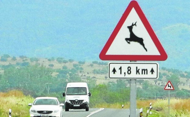 Cómo restaurar los corredores seguros para la fauna en las carreteras