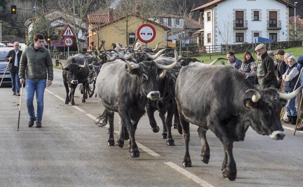 El pueblo de Valle celebra su tradicional feria