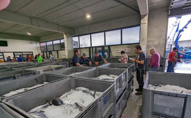 La lonja del puerto de Laredo cierra un año récord en cifras de negocio