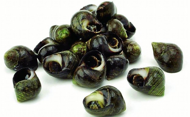 La receta del día: caracolillos cocidos