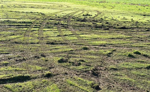 Destrozan haciendo trompos una finca de aeromodelismo en Quijano