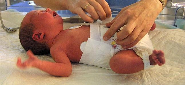 bacterias en heces de bebe bacterias en heces de bebe