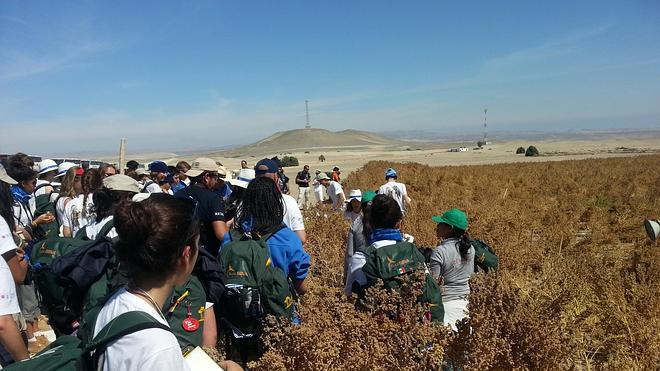 El guano y la quinua, dos fuentes de ingresos para el crecimiento de Perú