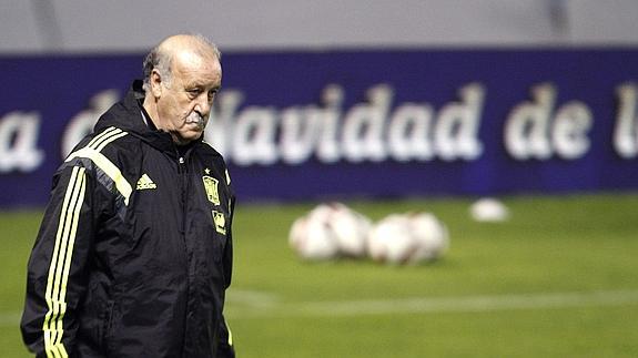 Del Bosque considera «prometedor» el futuro de la selección