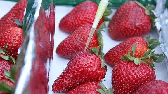 Un nuevo sistema higieniza las frutas sin dejar residuos químicos