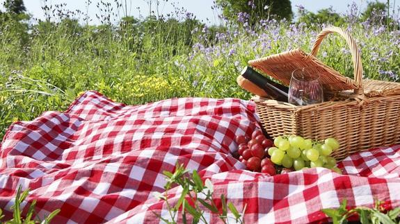 Algunos de los mejores parques para ir de picnic